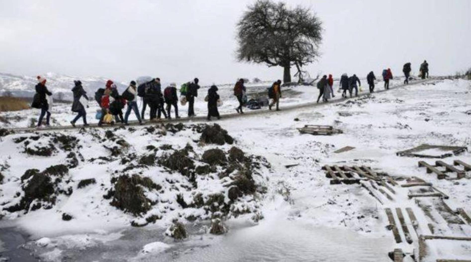 migranti