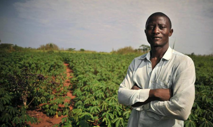 Non c’è solo lo sfruttamento: il lavoro dei migranti nell’agricoltura sociale nel sud Italia