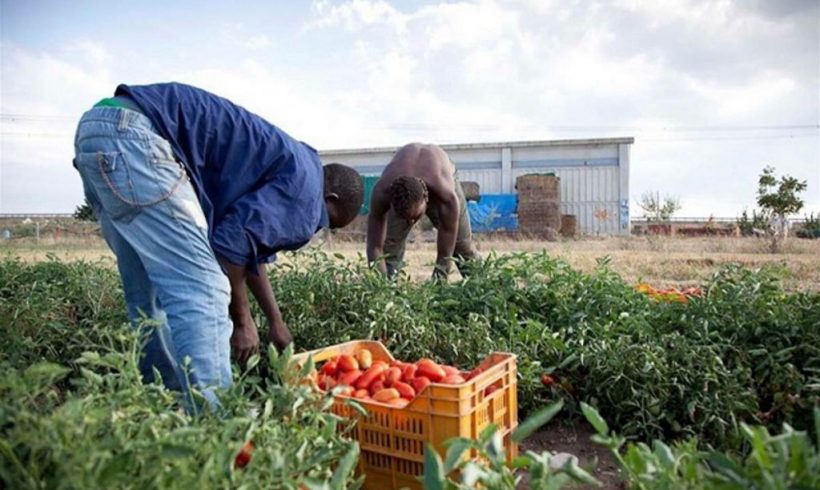 La mezza vittoria della regolarizzazione dei lavoratori immigrati